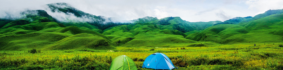 Dzuko- A Valley of Flowers
